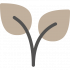 plant-3